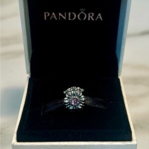 Pandora charm.  Purple Daisy Meadow.  New with box